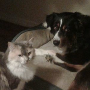 Meet your Posher, Renee